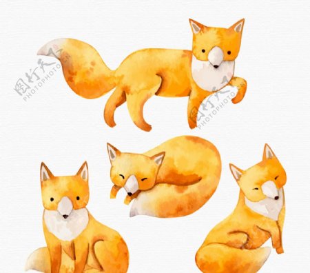 4款水彩绘狐狸设计矢量素材