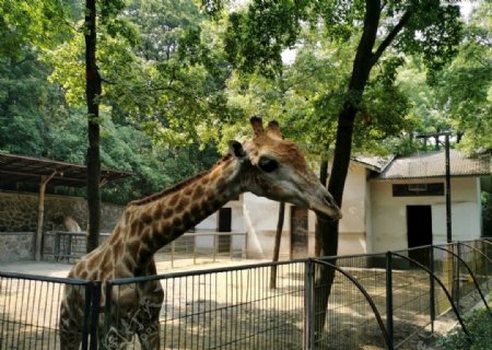 杭州动物园
