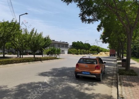 乡村道路美景