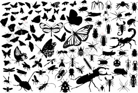 100种感染源昆虫矢量元素
