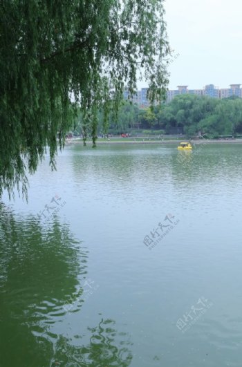 龙潭湖风景