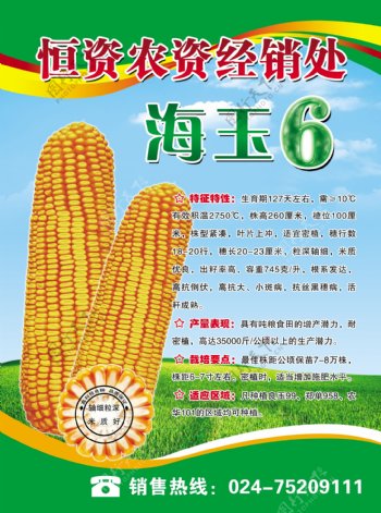 玉米种业海报