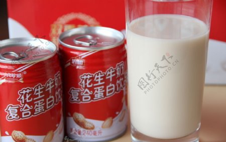 花生牛奶复合蛋白饮品核桃奶饮料
