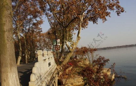 武汉东湖风光