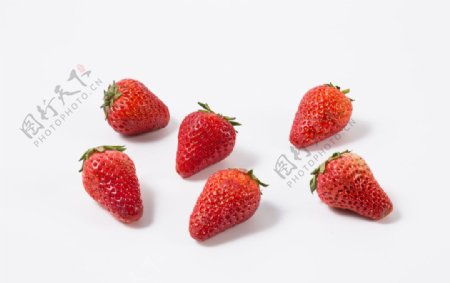 草莓白底素材