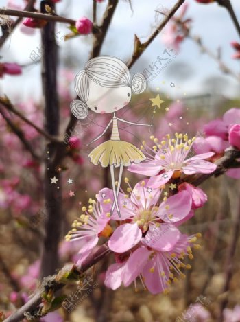 粉色向阳小花