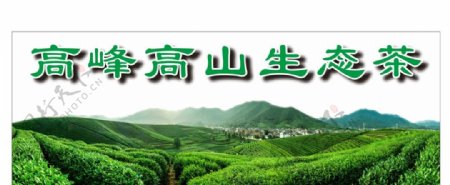高峰高山生态茶茶叶海报