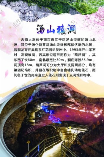 南京汤山猿洞