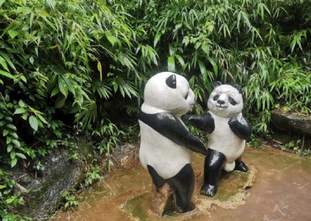 碧峰峡熊猫