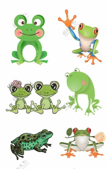 卡通青蛙各式图案