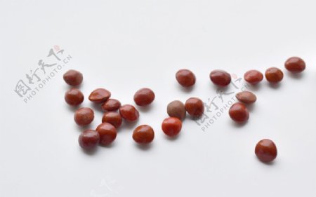 中国传统红豆
