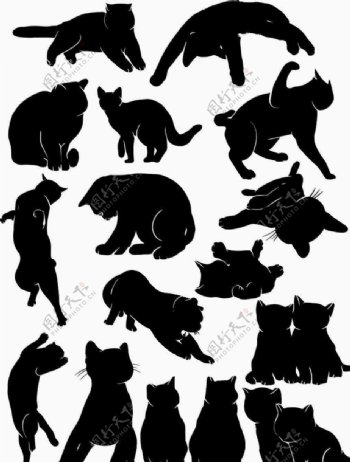 猫咪十二种动态剪影图片