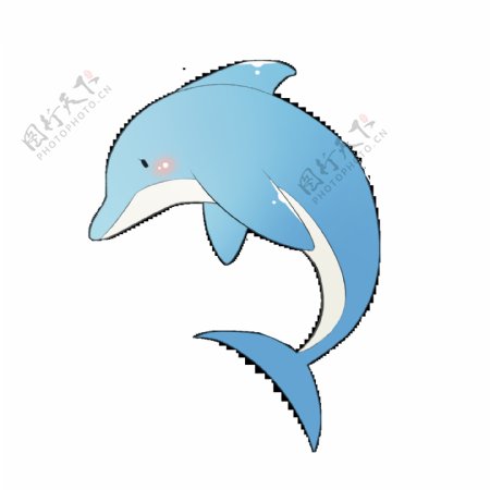 可爱小海豚png高清图