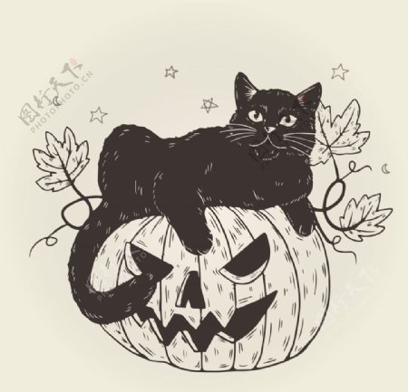 创意万圣节黑猫手绘插画图案