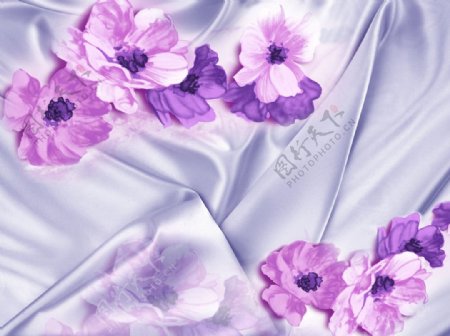 紫罗兰花紫色墙纸