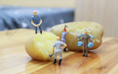 土豆小人