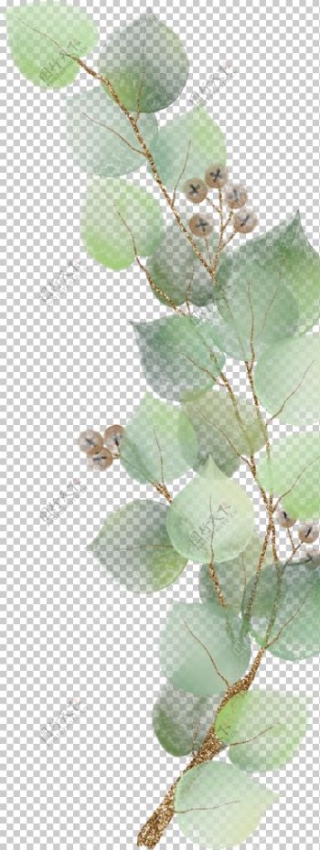 北欧小清新水彩植物图案图片