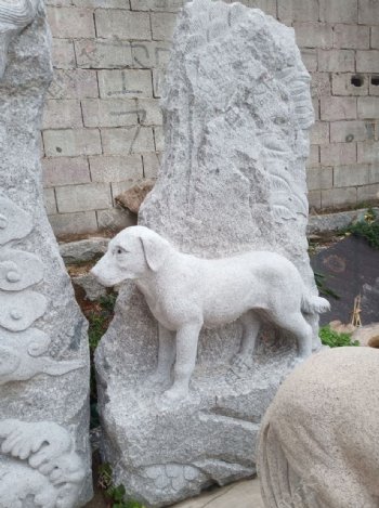 石雕狗图片