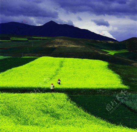 大自然风景图片