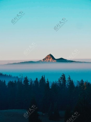 森林山峰云海云雾背景素材图片