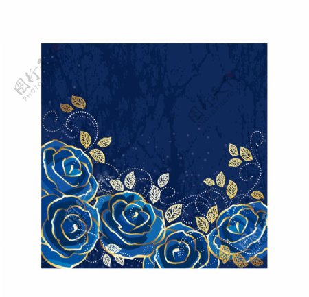 蓝玫瑰图片