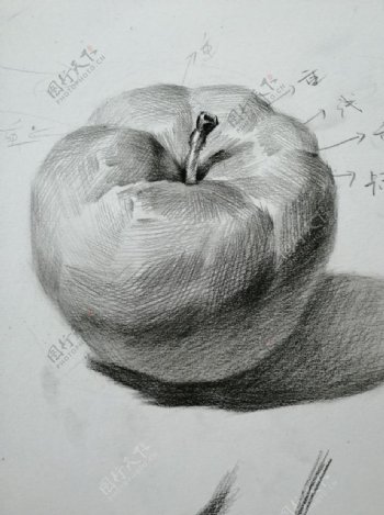 素描苹果图片