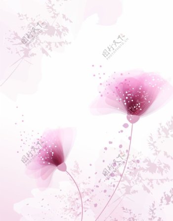 红花梦幻花朵粉色图片