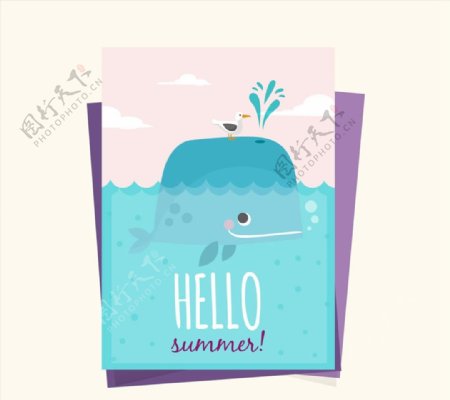 夏季鲸鱼卡片图片