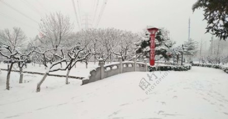雪后公园图片