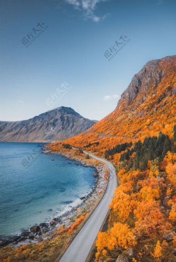 秋天海边风景图片