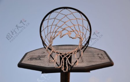 篮球板图片
