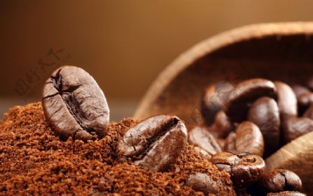 咖啡豆咖啡粉饮品背景海报素材图片