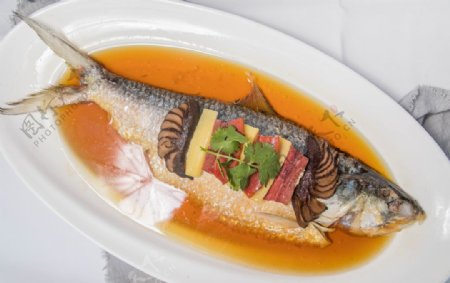 清蒸鲈鱼美食食材背景海报素材图片