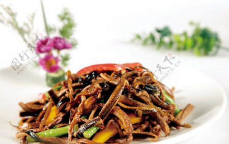 茶树菇炒鳝丝图片