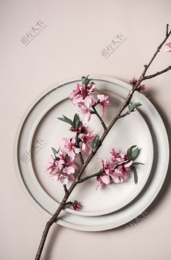 餐盘梅花花枝背景海报素材图片