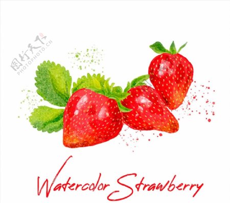 水彩绘美味草莓图片
