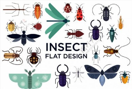 创意昆虫设计图片