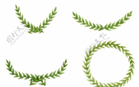 水彩橄榄枝框架花环png素材图片