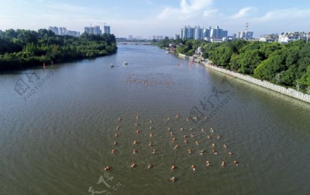 长江游泳比赛图片