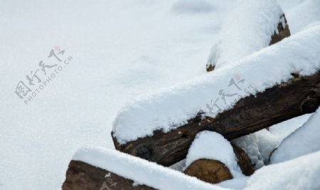 雪盖木头图片