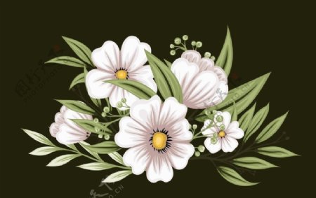 花朵背景植物图片