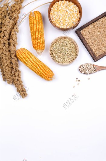 健康饮食玉米玉米粒图片
