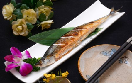 秋刀鱼美食食材背景海报素材图片