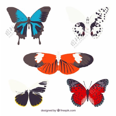 蝴蝶设计矢量图片