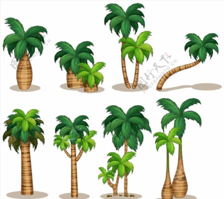 椰子树矢量图片