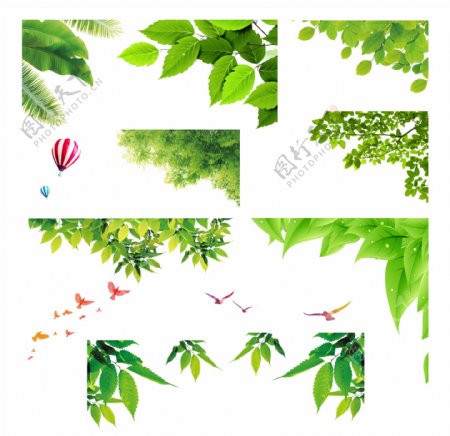 树叶装饰元素绿叶图片
