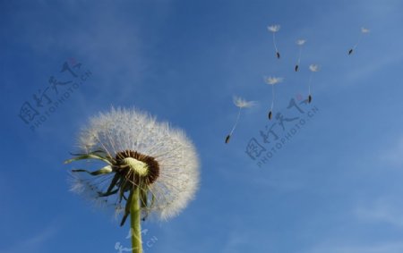 美丽的天空图片