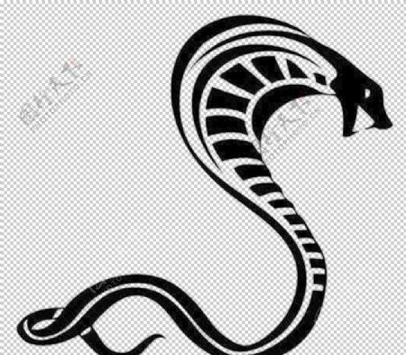 蛇logo图片