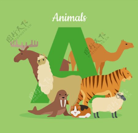 小动物和字母图片