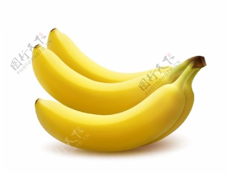 逼真的香蕉图片